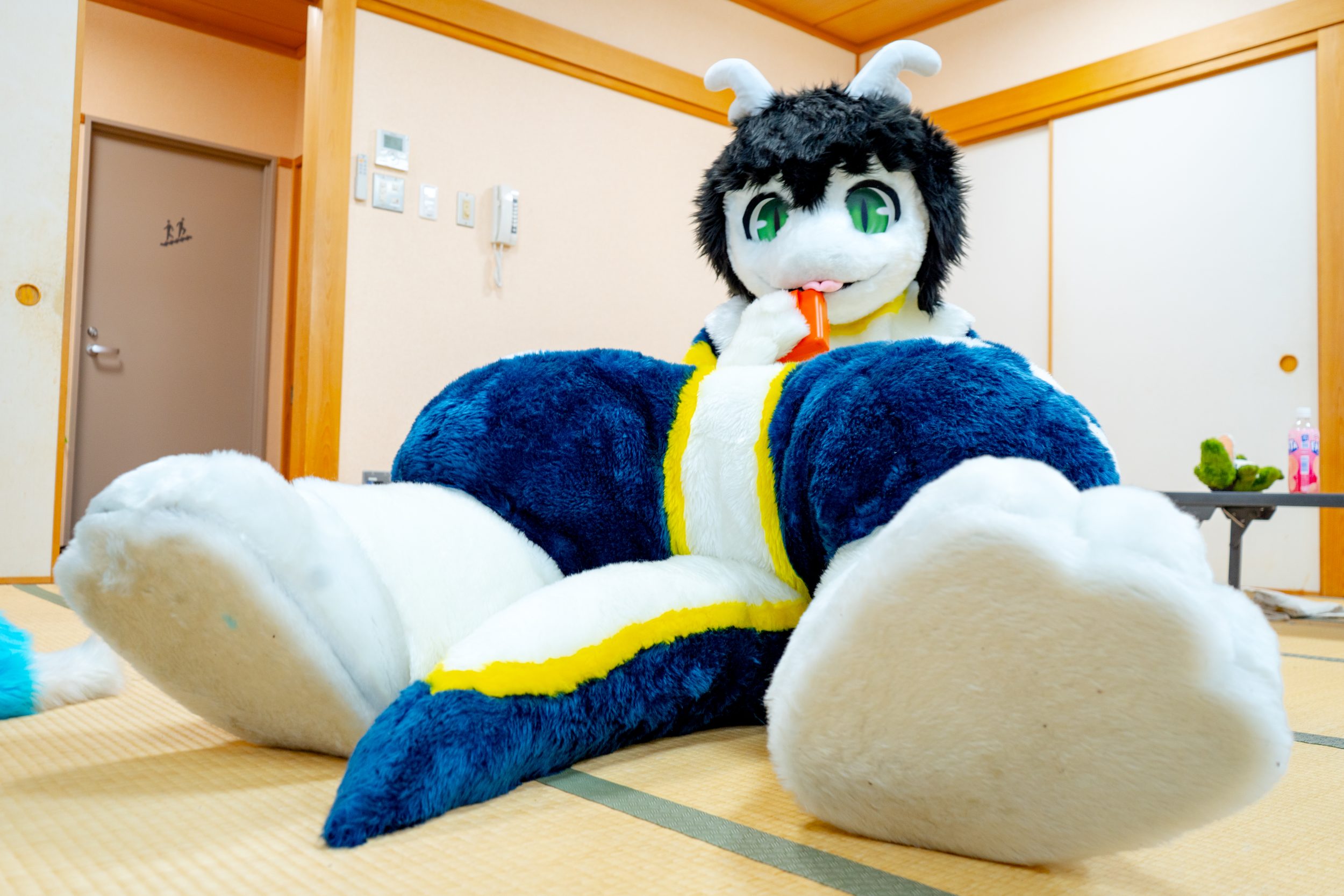 どこ見てんの!?どらごん.com