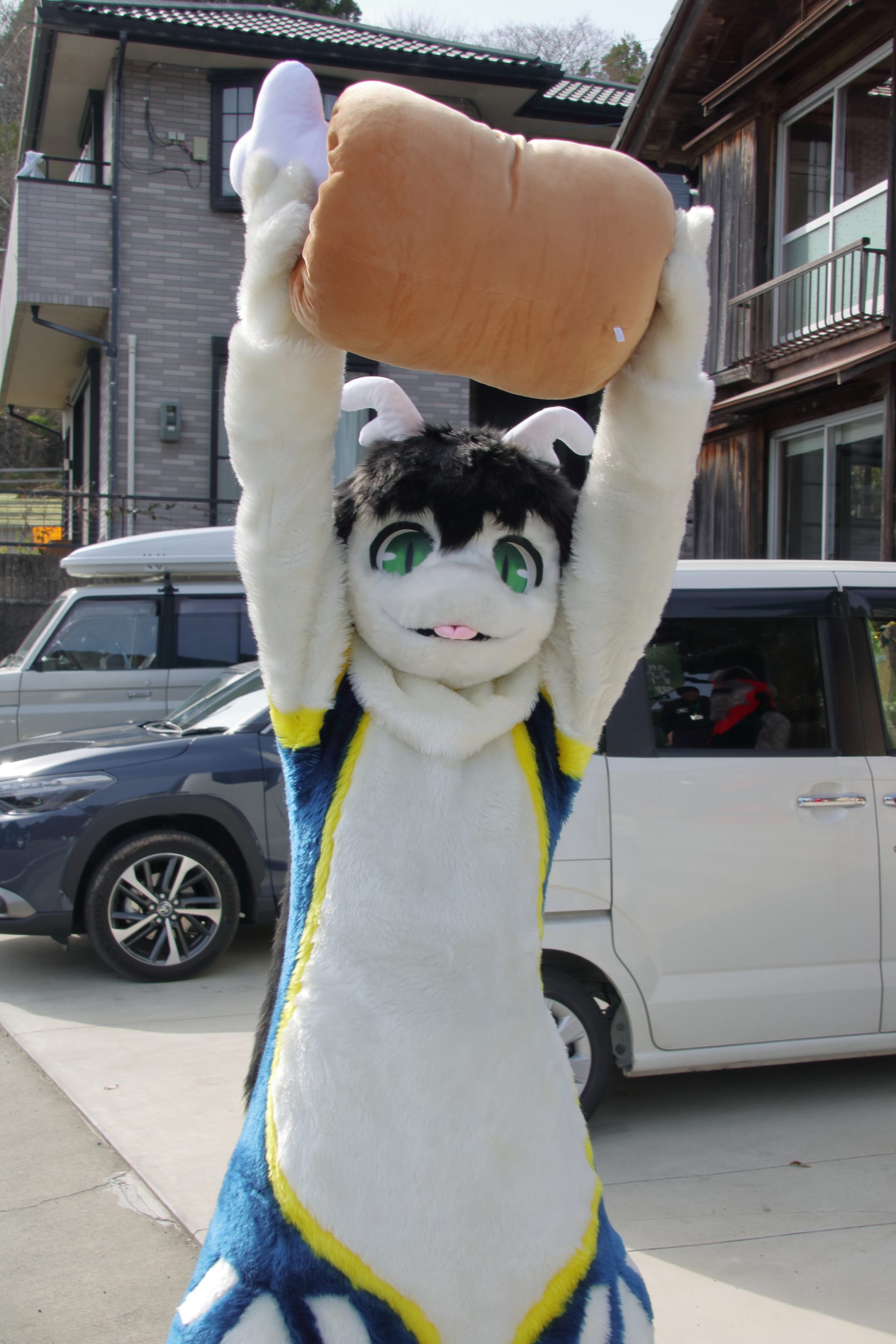 実はお肉よりお魚派どらごん